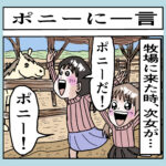 ポニーに一言